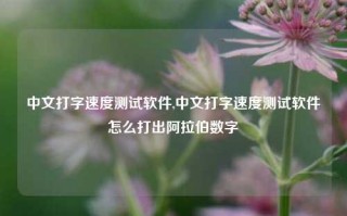 中文打字速度测试软件,中文打字速度测试软件怎么打出阿拉伯数字