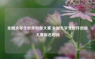 全国大学生软件创新大赛,全国大学生软件创新大赛报名时间