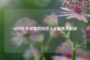 30万吨/年环氧丙烷进入全面施工阶段