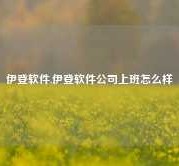 伊登软件,伊登软件公司上班怎么样