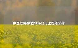 伊登软件,伊登软件公司上班怎么样