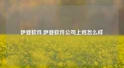 伊登软件,伊登软件公司上班怎么样