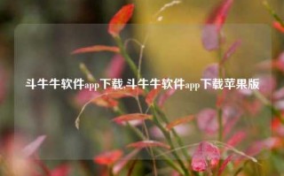 斗牛牛软件app下载,斗牛牛软件app下载苹果版