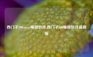 西门子200smart编程软件,西门子200编程软件最新版