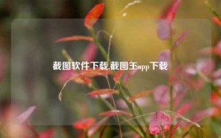 截图软件下载,截图王app下载