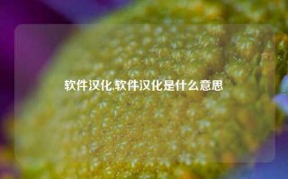 软件汉化,软件汉化是什么意思