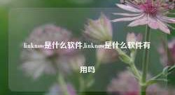 linknow是什么软件,linknow是什么软件有用吗