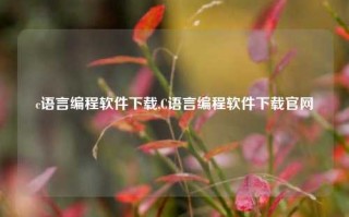 c语言编程软件下载,C语言编程软件下载官网