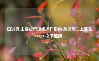 田洪良:主要货币短线操作指南 美指周二上涨在103.95之下遇阻