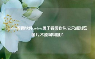 acdsee看图软件,acdsee属于看图软件,它只能浏览图片,不能编辑图片