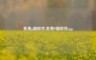 免费p图软件,免费P图软件app