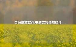 音频播放软件,电脑音频播放软件