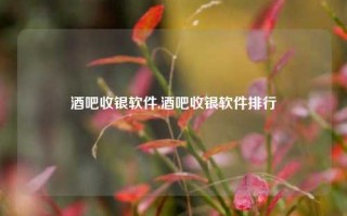 酒吧收银软件,酒吧收银软件排行