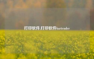 打印软件,打印软件bartender