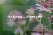 格式转换软件,mp4视频格式转换软件