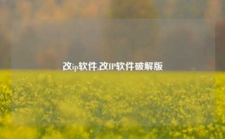 改ip软件,改IP软件破解版