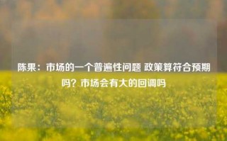 陈果：市场的一个普遍性问题 政策算符合预期吗？市场会有大的回调吗