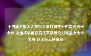 十四届全国人大常委会举行第三十四次委员长会议 决定将学前教育法草案等交付常委会会议表决 赵乐际主持会议