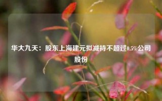 华大九天：股东上海建元拟减持不超过0.5%公司股份