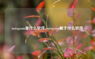 instagram是什么软件,instagram属于什么软件