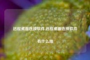 远程桌面连接软件,远程桌面连接软件有什么用