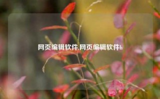 网页编辑软件,网页编辑软件h