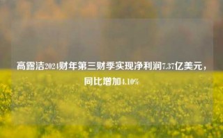 高露洁2024财年第三财季实现净利润7.37亿美元，同比增加4.10%