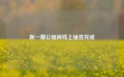 新一期公租房线上抽签完成