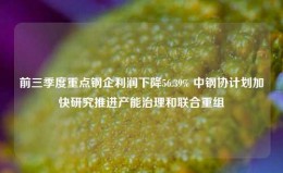 前三季度重点钢企利润下降56.39% 中钢协计划加快研究推进产能治理和联合重组