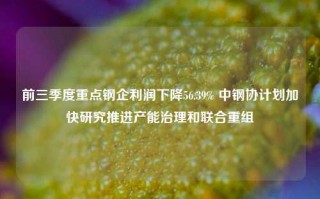 前三季度重点钢企利润下降56.39% 中钢协计划加快研究推进产能治理和联合重组