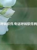 电话呼叫软件,电话呼叫软件网页版