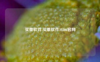 买票软件,买票软件12306官网