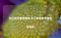 办公软件都有哪些,办公软件都有哪些常用的