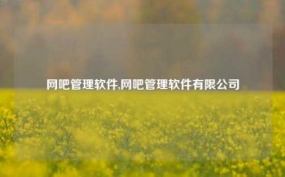 网吧管理软件,网吧管理软件有限公司