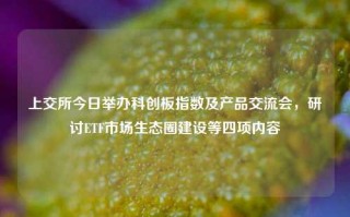 上交所今日举办科创板指数及产品交流会，研讨ETF市场生态圈建设等四项内容