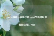 xmind用什么软件打开,xmind文件可以用其他软件打开吗