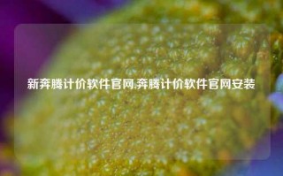 新奔腾计价软件官网,奔腾计价软件官网安装