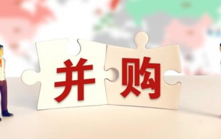 这家公司刚刚IPO失败，立即找个ST、有“并购黑历史”的“入伙”……