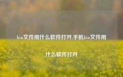 bin文件用什么软件打开,手机bin文件用什么软件打开