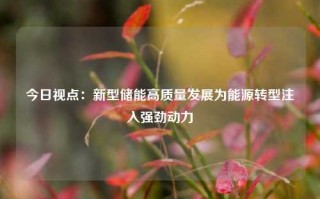 今日视点：新型储能高质量发展为能源转型注入强劲动力