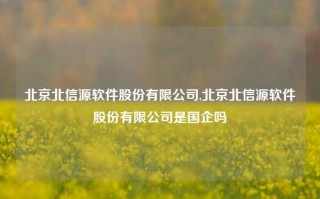 北京北信源软件股份有限公司,北京北信源软件股份有限公司是国企吗