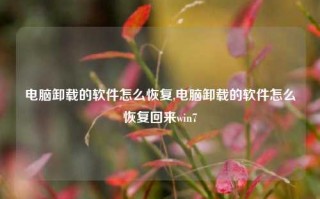 电脑卸载的软件怎么恢复,电脑卸载的软件怎么恢复回来win7