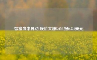 智富盘中异动 股价大涨5.05%报0.520美元