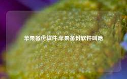 苹果备份软件,苹果备份软件叫啥