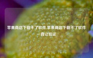 苹果商店下载不了软件,苹果商店下载不了软件一直让验证