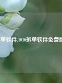 1010拆单软件,1010拆单软件免费版下载