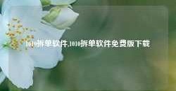 1010拆单软件,1010拆单软件免费版下载