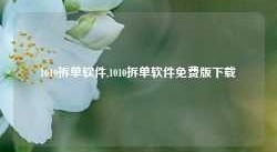 1010拆单软件,1010拆单软件免费版下载