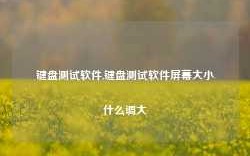 键盘测试软件,键盘测试软件屏幕大小什么调大