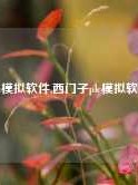 plc模拟软件,西门子plc模拟软件